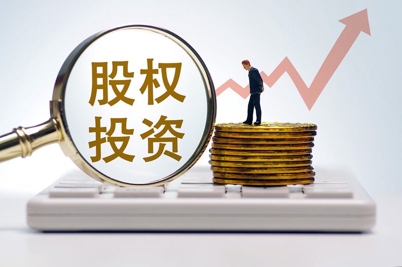 儋州投资公司的崛起：如何在竞争中脱颖而出