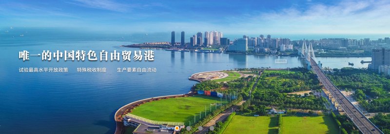 儋州投资公司的崛起：实战攻略